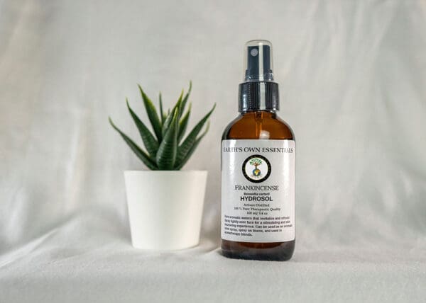 A bottle of essential oil next to a plant.