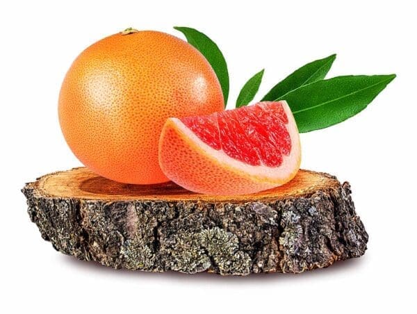 A grapefruit and an orange on a tree stump.