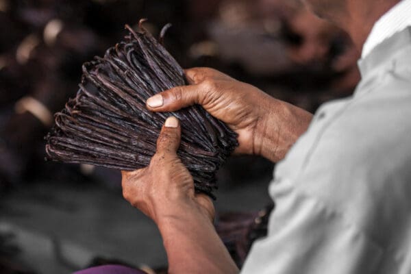 A person holding some sticks in their hands