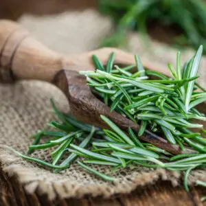 A wooden spoon with green leaves on it.