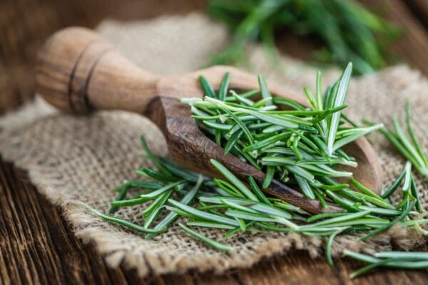 A wooden spoon with green leaves on it.