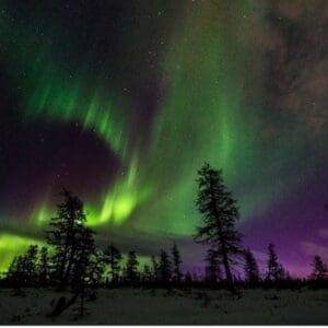 A green and purple sky with trees in the foreground.