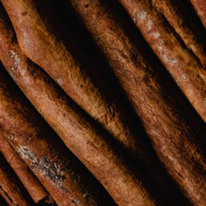 A close up of some sticks of food