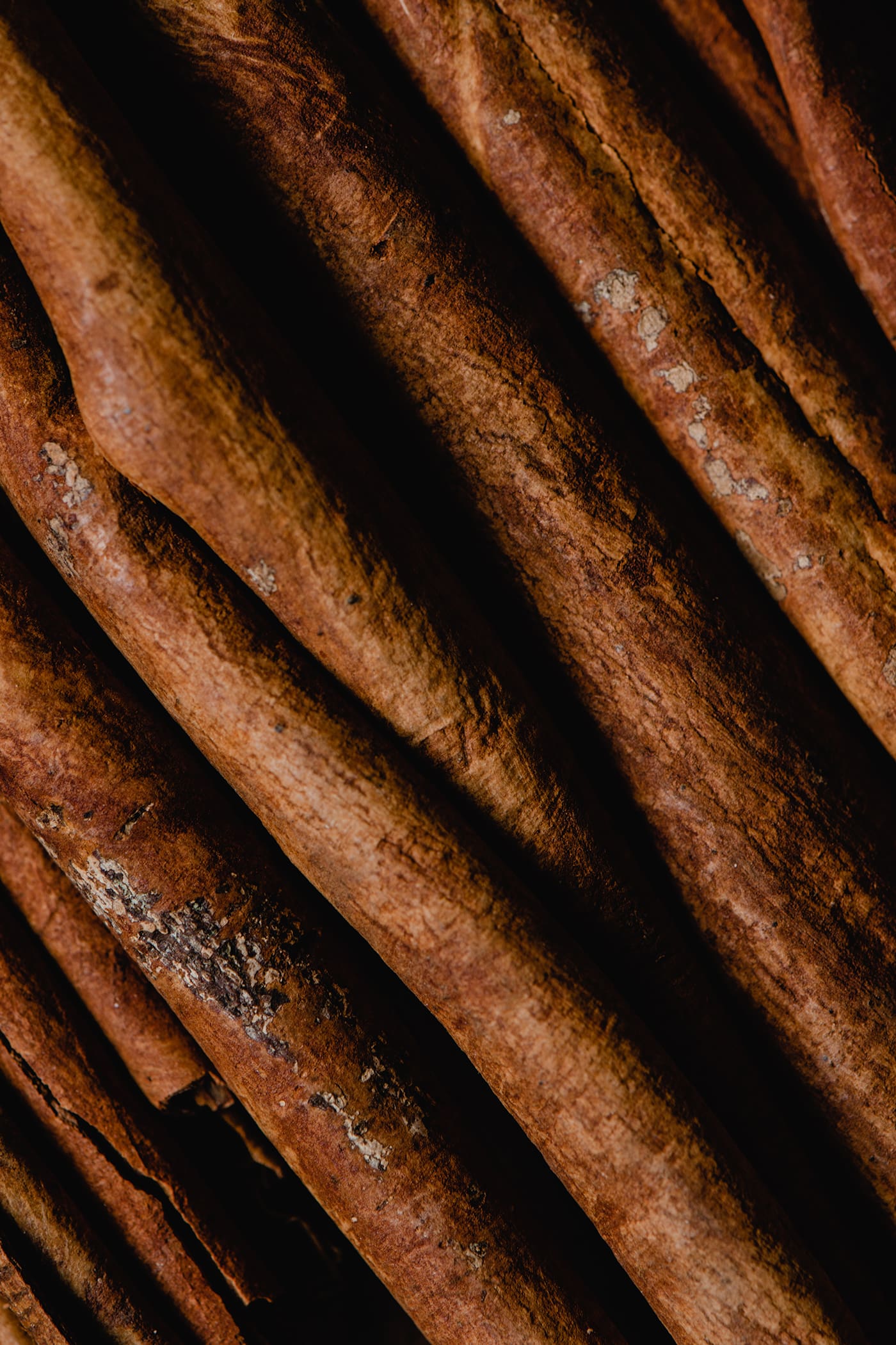 A close up of some sticks of food