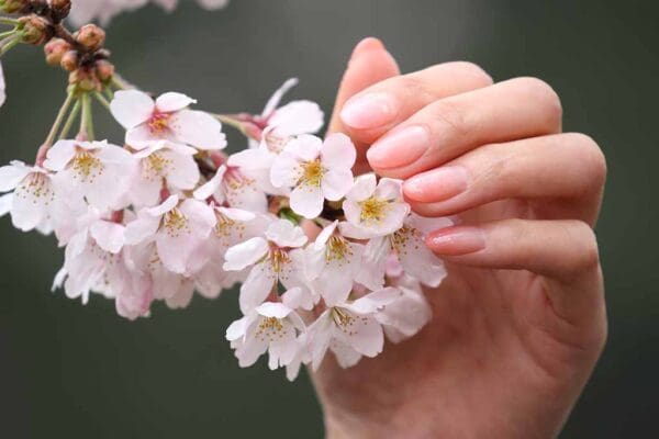 A person holding flowers in their hands