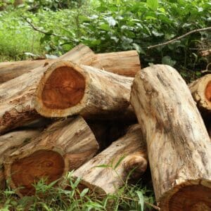 A pile of wood logs sitting in the grass.