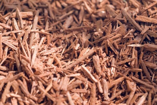 A close up of wood chips on the ground