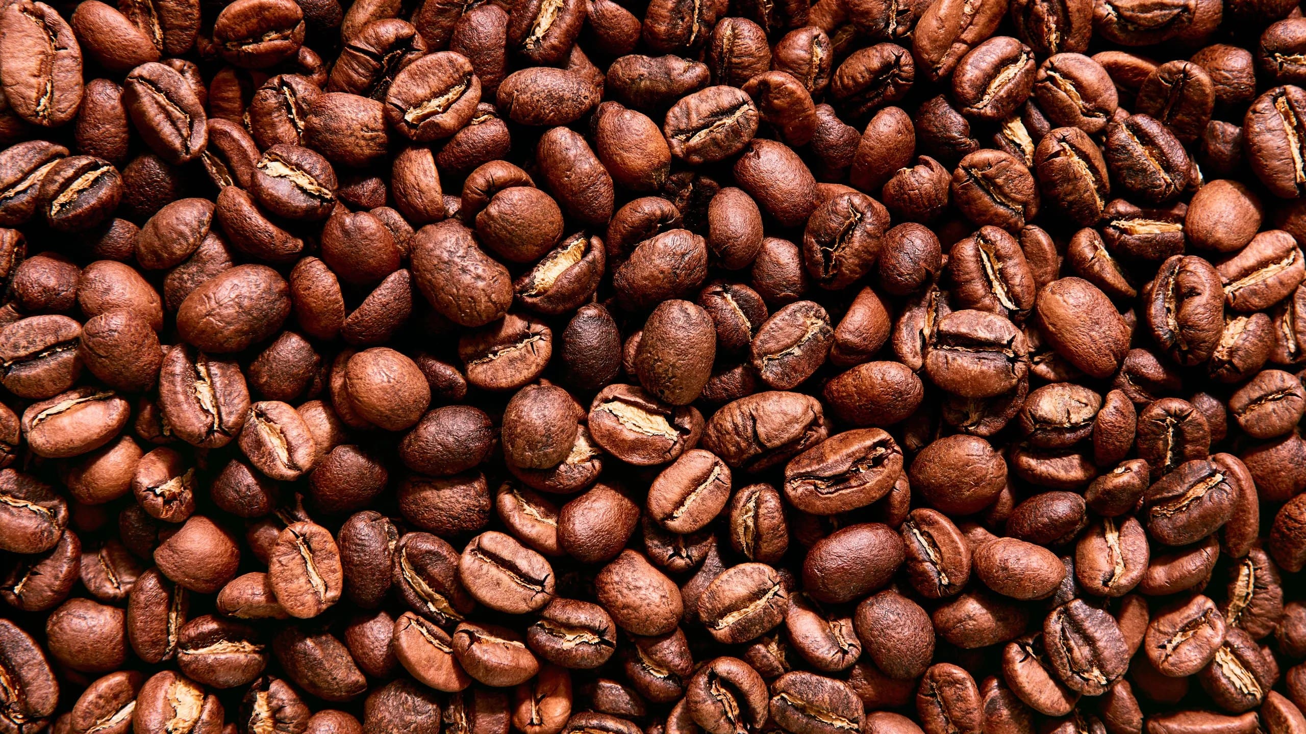 A close up of coffee beans on display