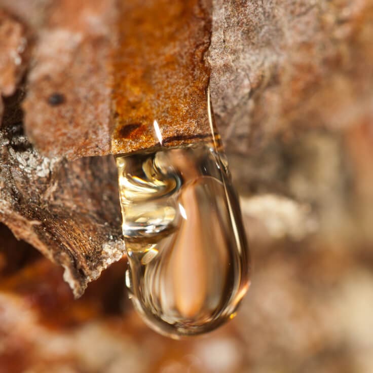 A close up of the water drop on a leaf