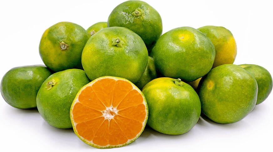 A pile of limes and an orange on top of each other.